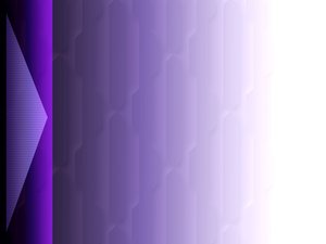 新民市畜禽有限責任公司