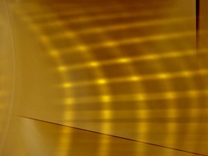 臺安縣蛇苗有限責任公司